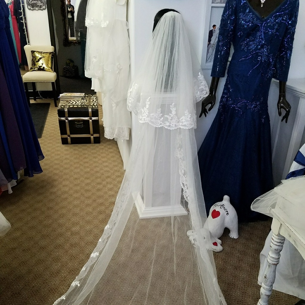 VEIL - Picture 3 of 5